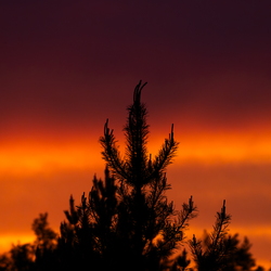 Sunsets